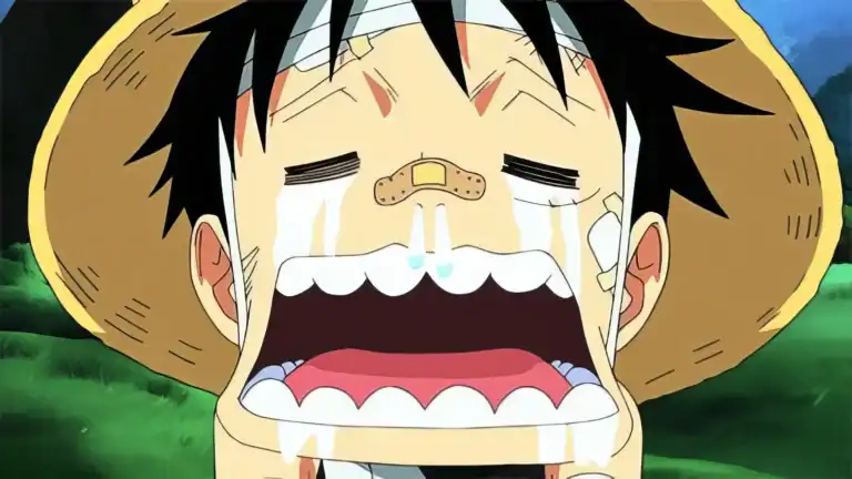 Luffy from One Piece crying funny meme in HD quality