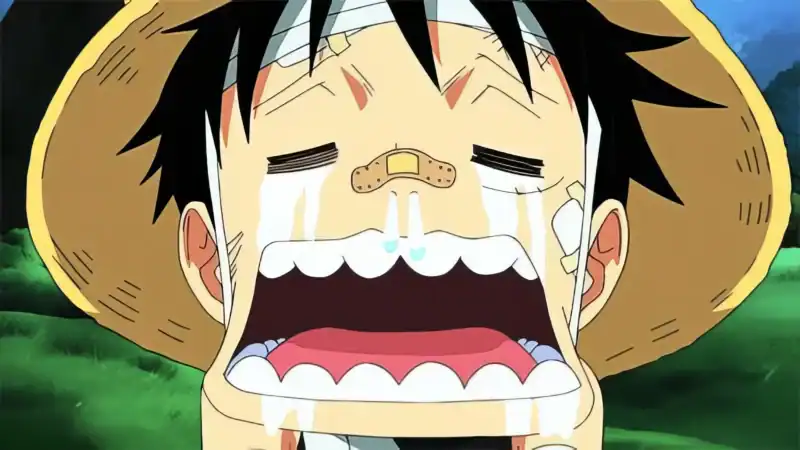 Luffy Funny Crying Meme