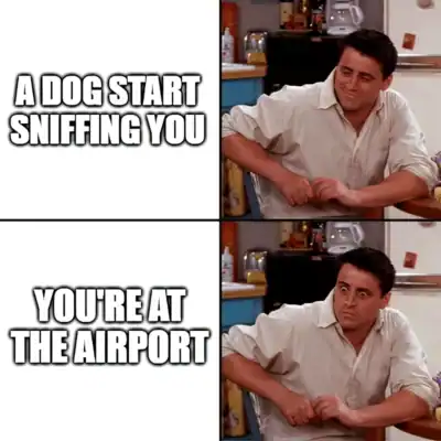 surprised joey tribbiani friends meme airport dog sniffing