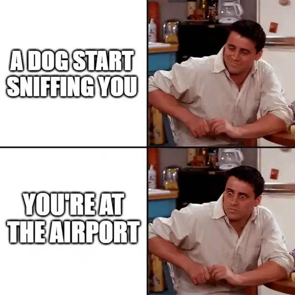 Surprised Joey (Friends) Meme – Airport Dog Sniffing Reaction