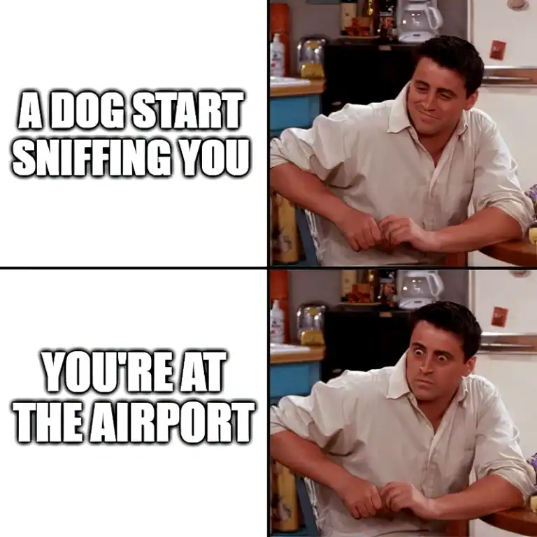 surprised joey tribbiani friends meme airport dog sniffing