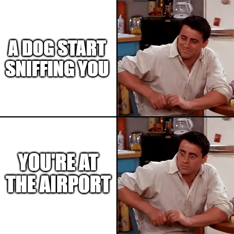 surprised joey tribbiani friends meme airport dog sniffing