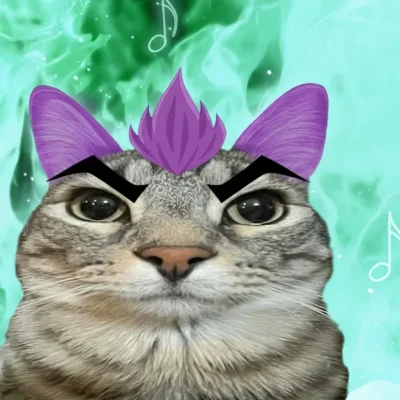 Hakari cat meme from Jujutsu Kaisen with purple hair and intense stare representing jackpot mode