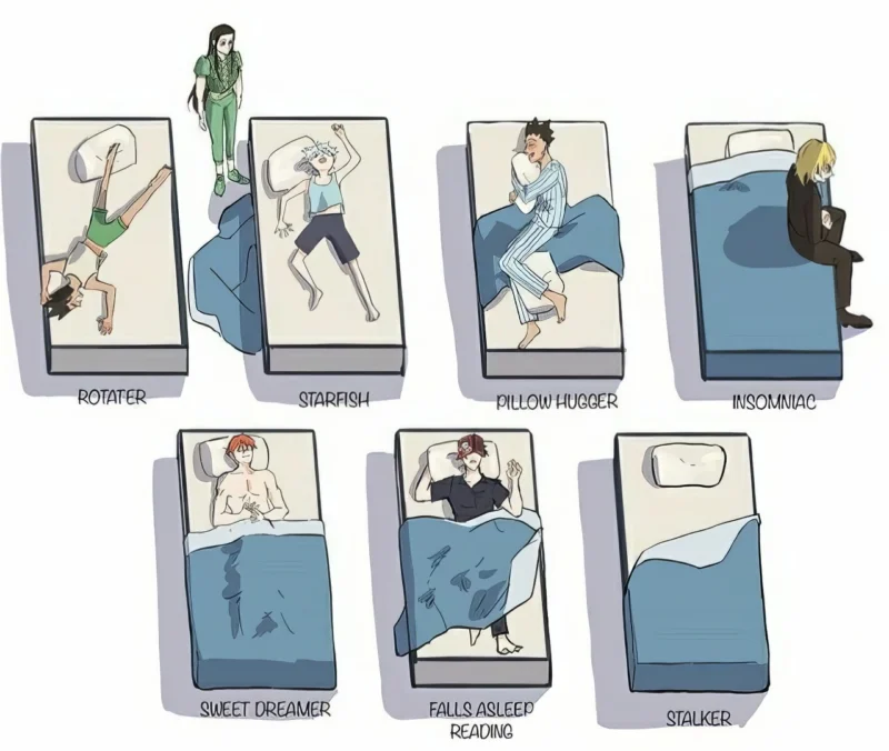 Hunter x Hunter Meme – How HxH Characters Sleep