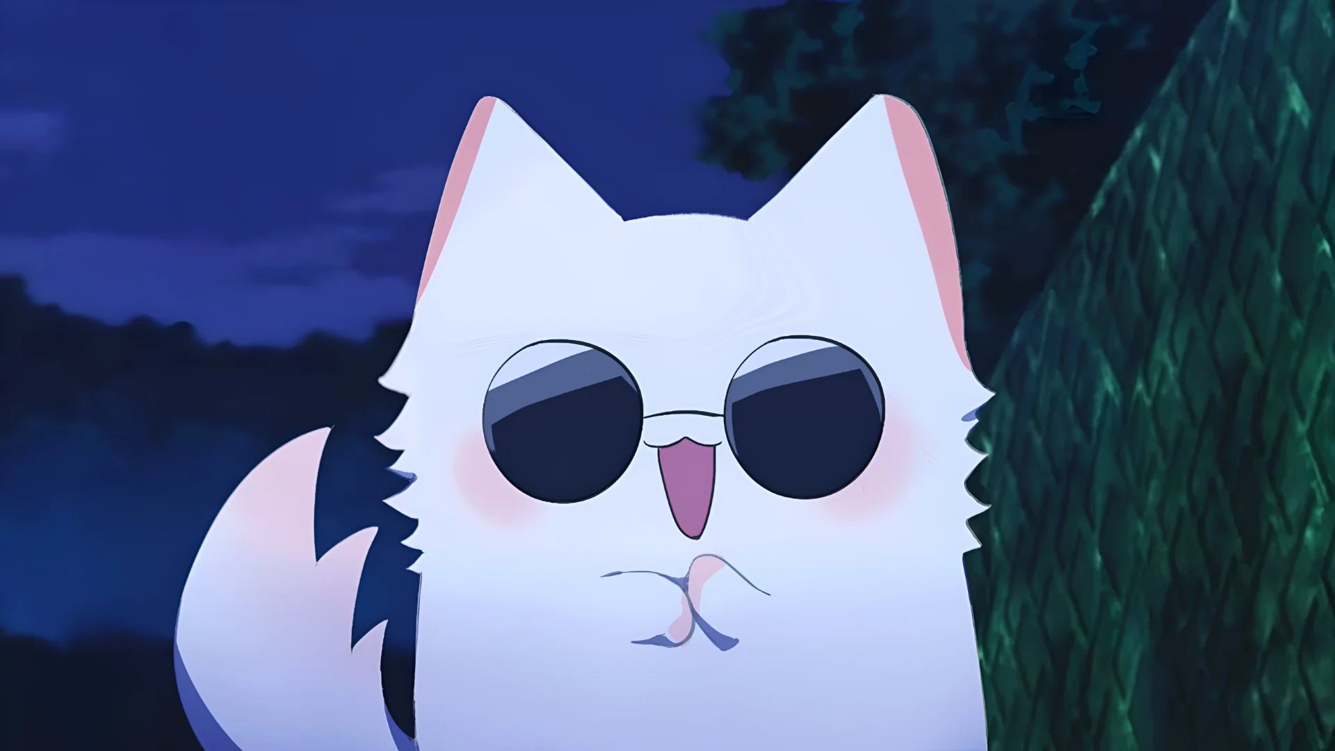 Satoru Gojo cat meme Jujutsu Kaisen parody