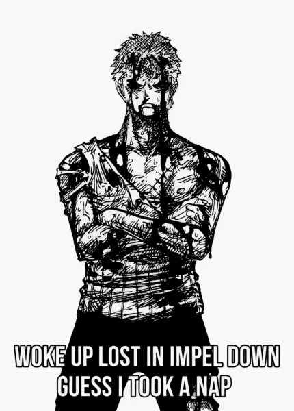 Zoro Meme – “Nothing Happened”