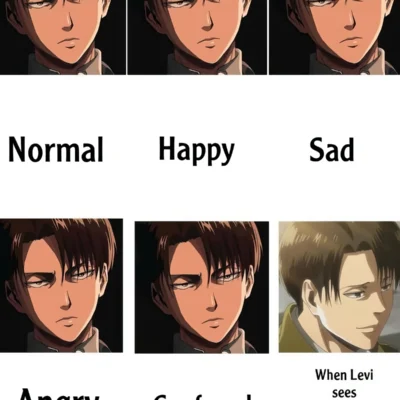 Levi sad meme Attack on Titan