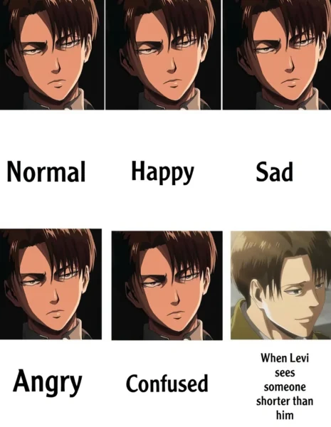 Levi Sad Meme – When Even Levi Feels It