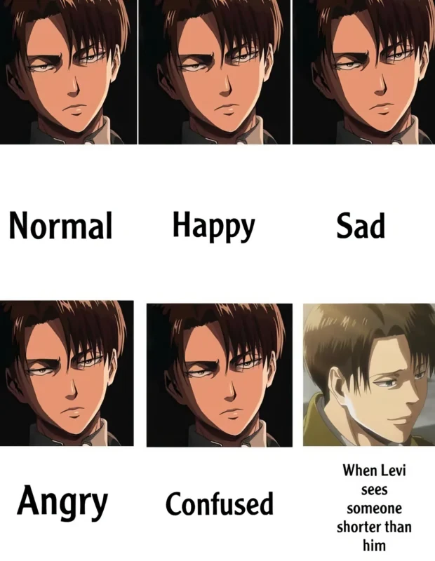 Levi sad meme Attack on Titan
