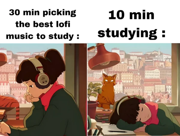 Lofi Meme – 30 Minutes Picking Music