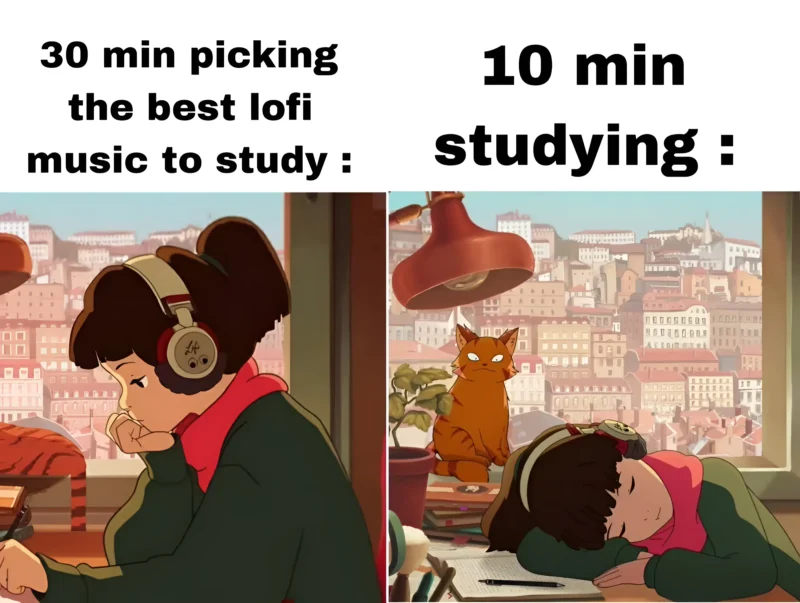 lofi meme picking music vs studying