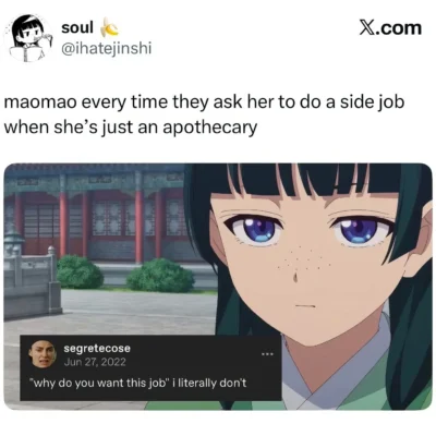 maomao job meme the apothecary diaries
