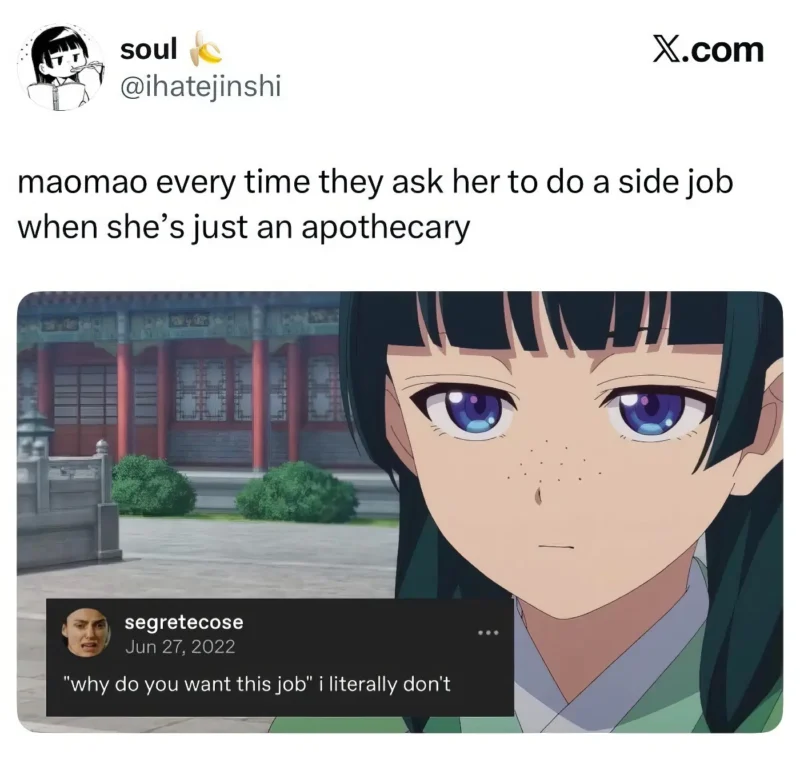 maomao job meme the apothecary diaries