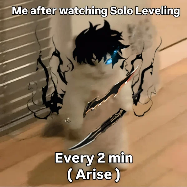 Arise Meme Solo Leveling – Shadow Monarch Cat