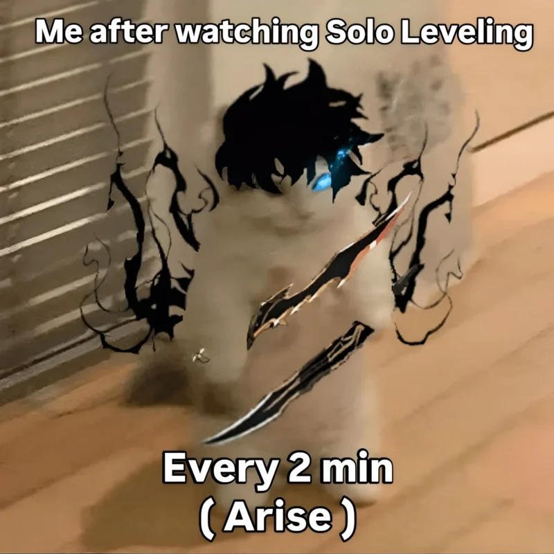 Solo Leveling arise meme cat