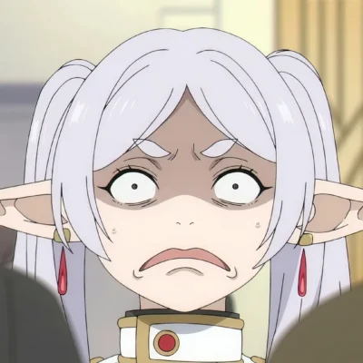 frieren disappointed face meme shocked elf reaction anime meme