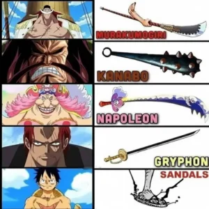 Monkey D. Luffy wearing sandals meme from One Piece anime, funny reaction image in HD