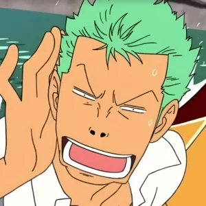 Home HD Meme Zoro huh reaction meme from One Piece pre timeskip